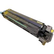 Ricoh D0BM3003