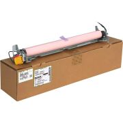 Ricoh D8954034