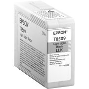Epson T8509 (C13T850900)