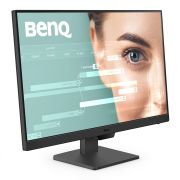 BenQ GW2490